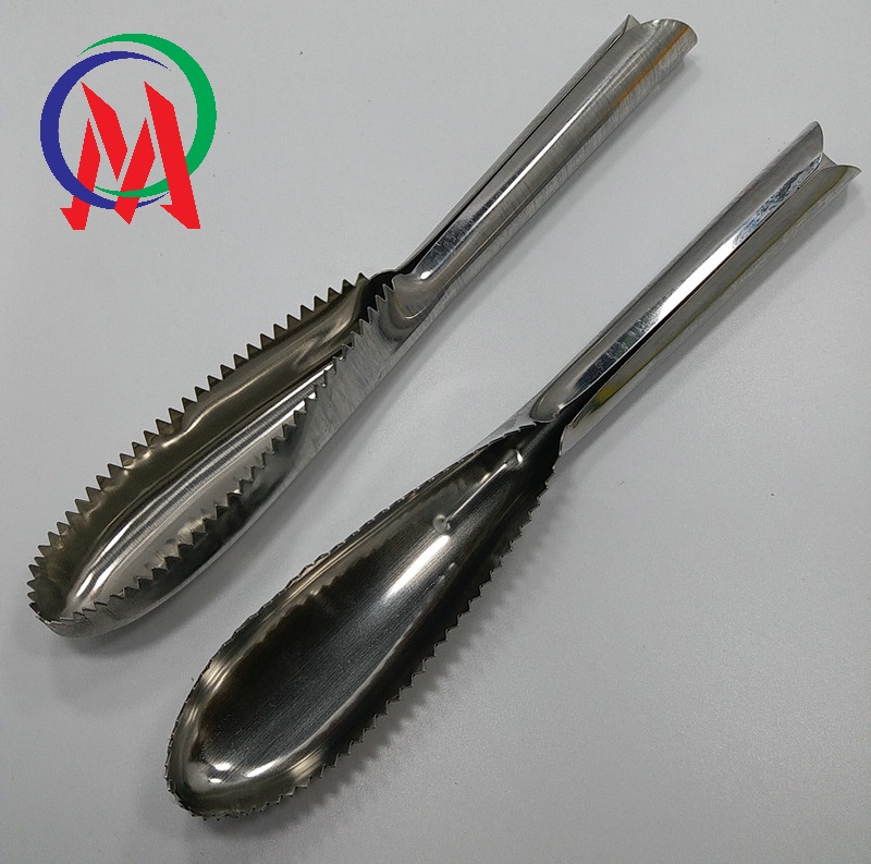 [HCM][Giá rẻ hủy diệt] Combo 2 Dụng cụ đánh vảy cá inox 23.3x3.5cm