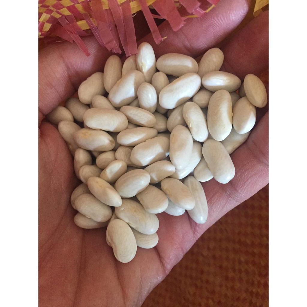 COMBO 2kg ĐẬU TÂY TRẮNG - ĐẬU TRẮNG/ ĐẬU THÂN TRẮNG