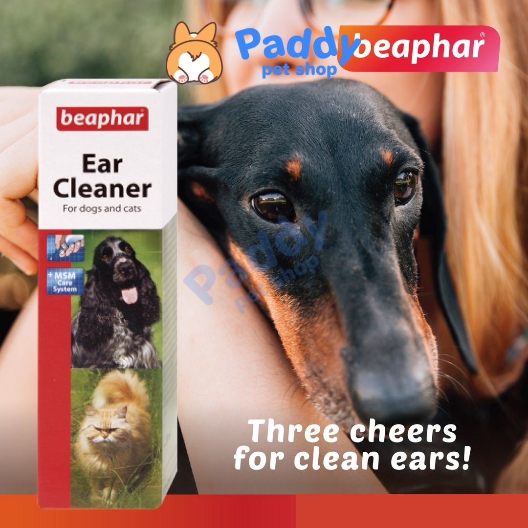 Vệ Sinh Tai, Mắt Chó Mèo Beaphar (Nhập khẩu Hà Lan)
