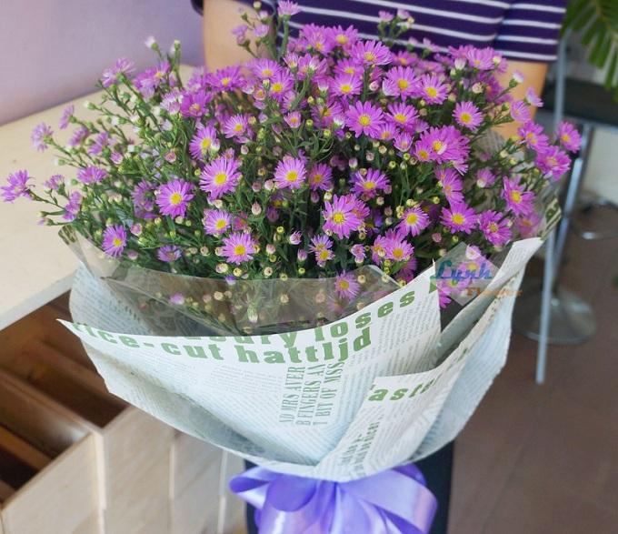 Hạt Giống Hoa Cúc Thạch Thảo ( 50 Hạt)