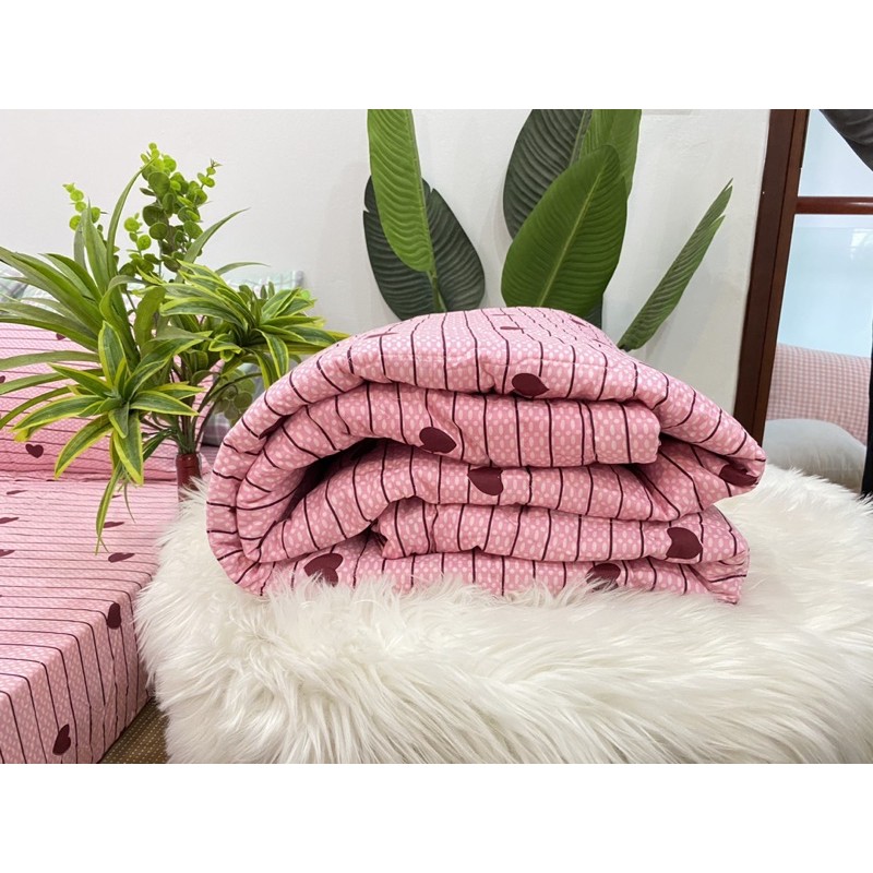 Trọn Bộ Chăn Ga Gối Hè Thu 5 Món Tim Kẻ