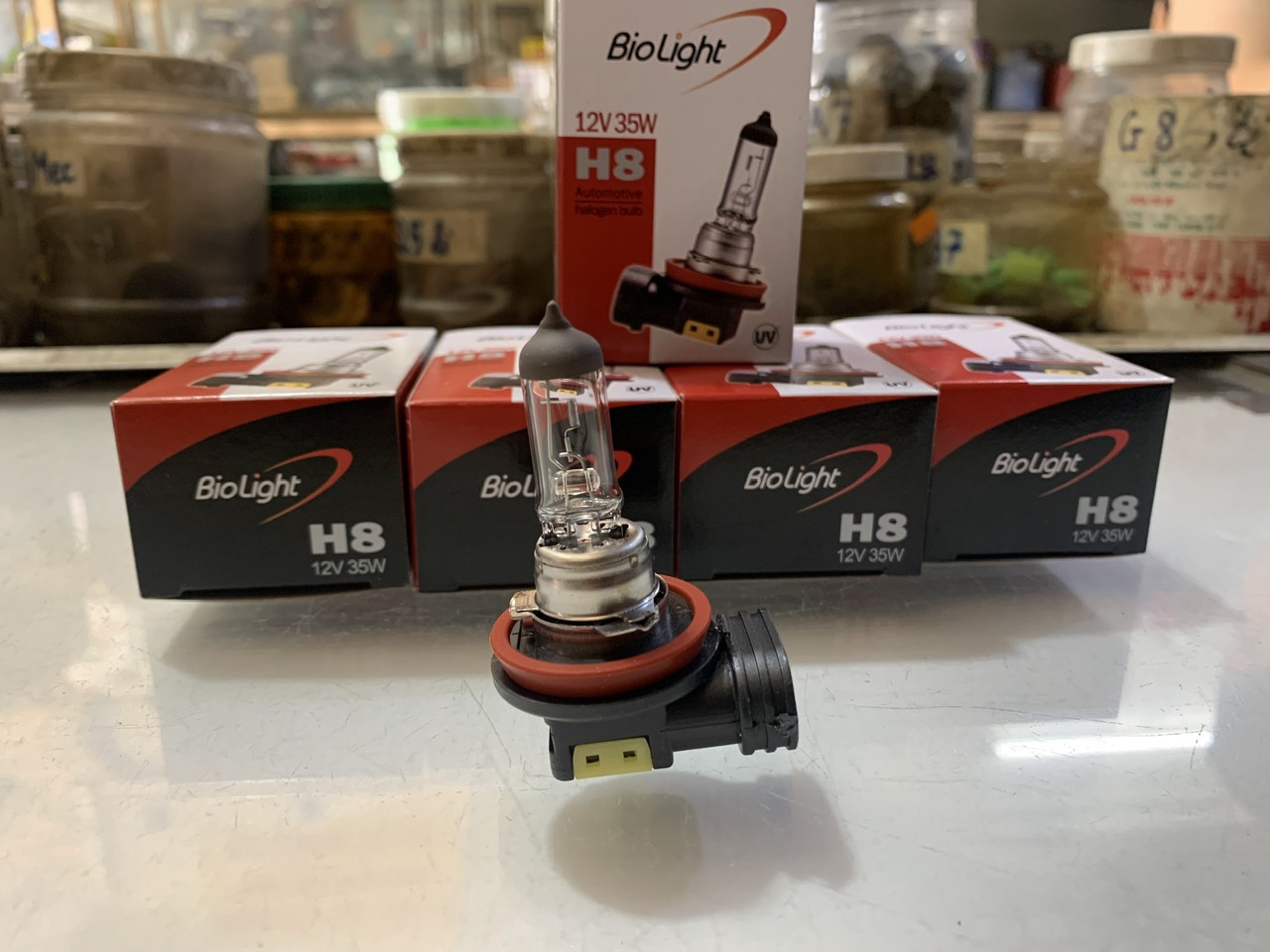 Bóng đèn gầm, đèn cản, bóng đèn soi sương mù h8-12v/35w, dùng cho các dòng xe toyota, hyundai, kia, ford,..loại xịn biolight hàn quốc.