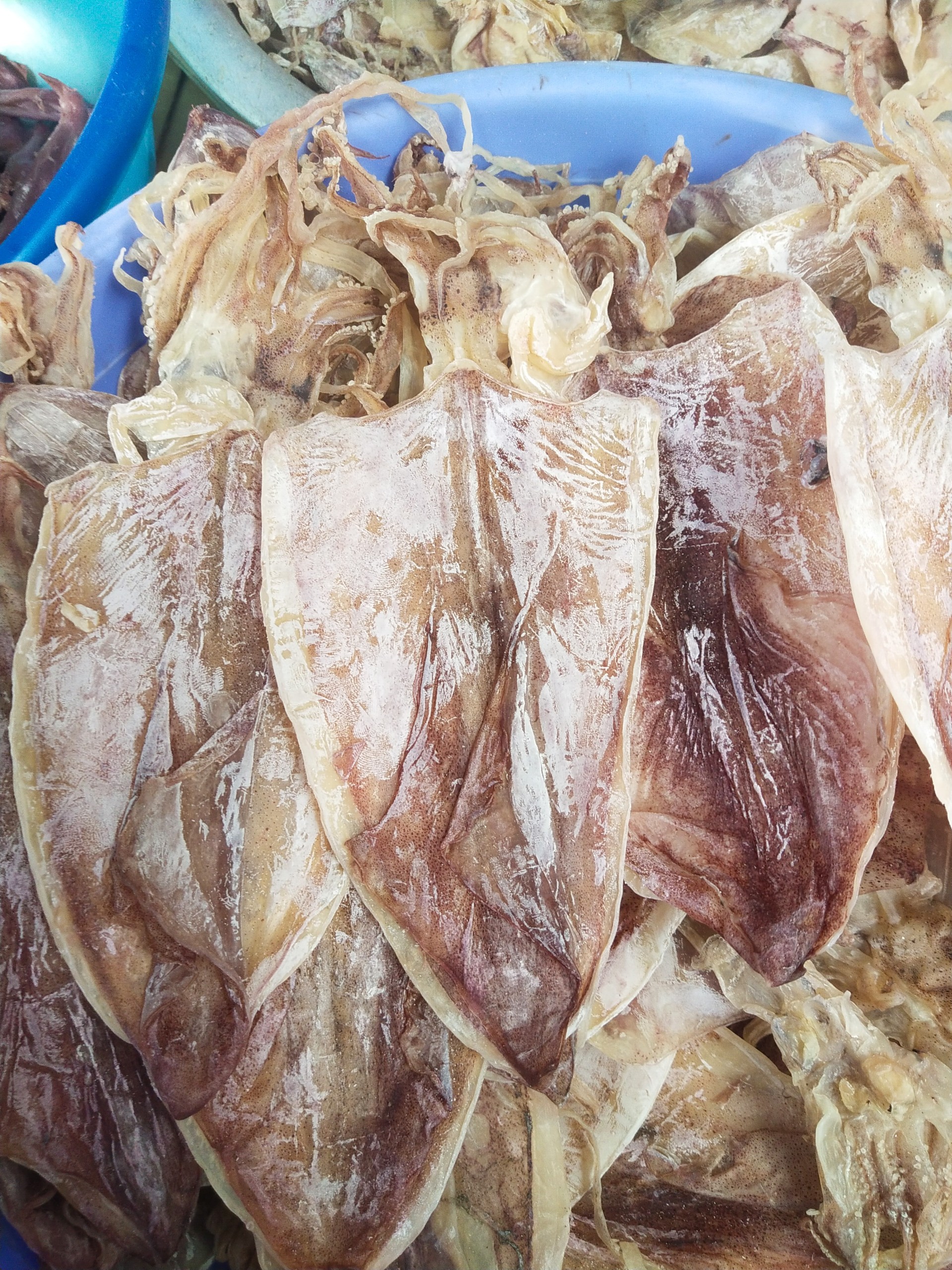 1kg Mực khô câu 20-22con [hàng loại 1 ngon ngọt] -HS01-GHPY