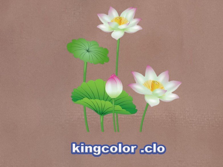 LOTUS FLOWER