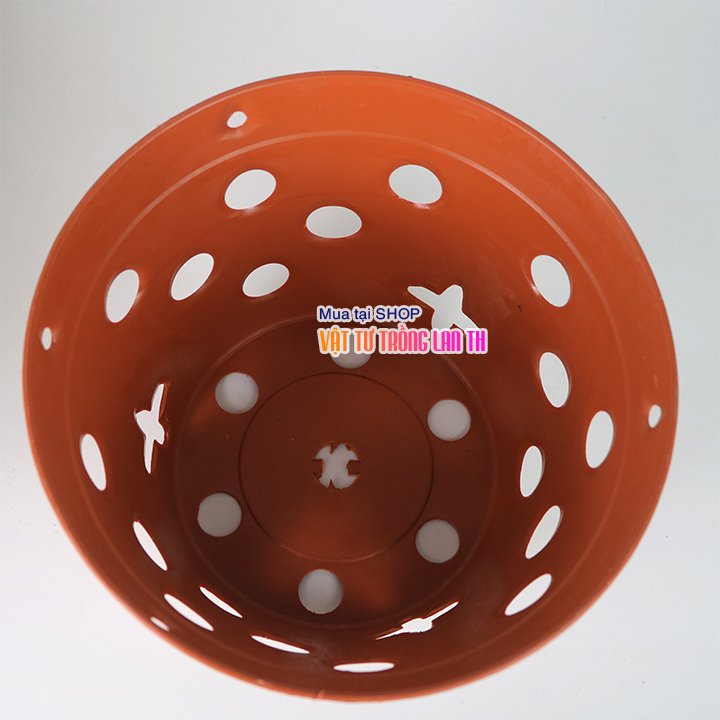Chậu nhựa trồng lan, ươm kie phi 17