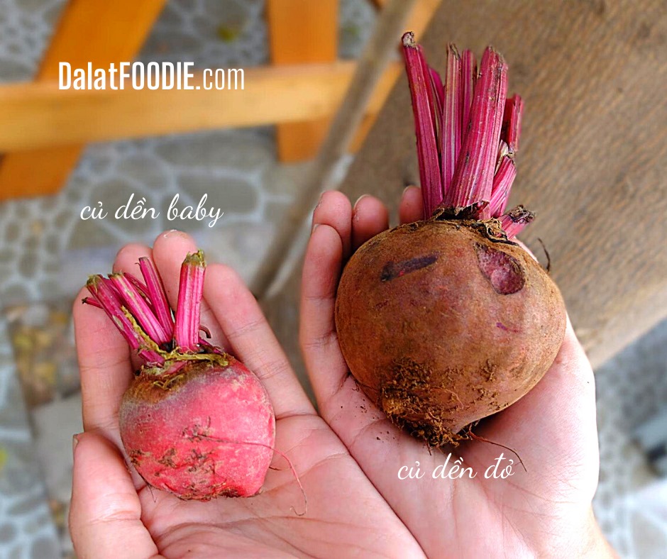 Củ Dền 300G - [Giao ngay tại TPHCM]