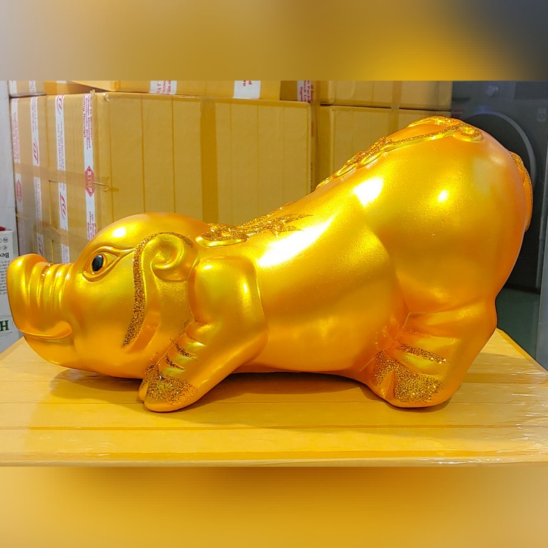 Heo đất khổng lồ dài 60cm