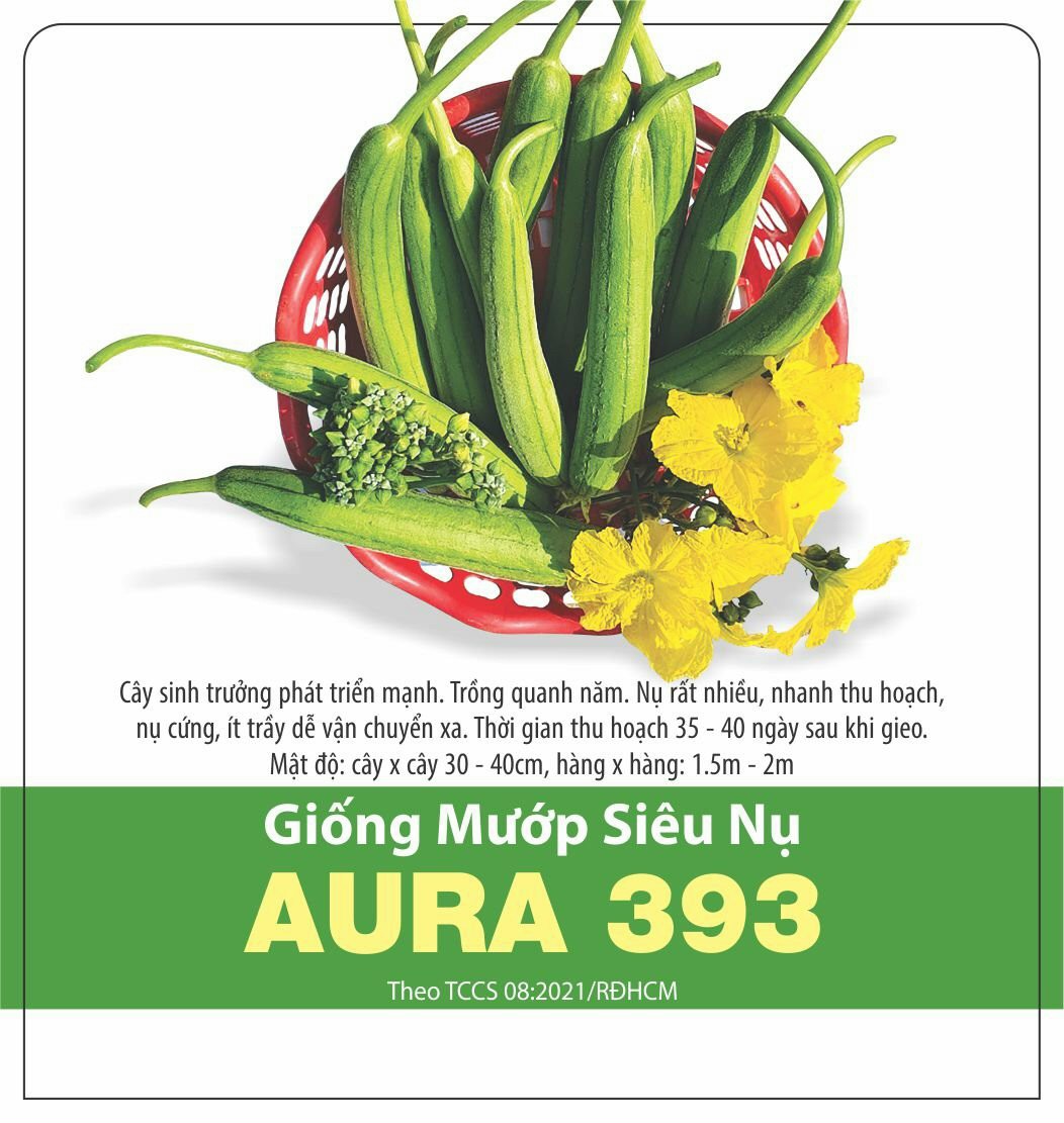 Hạt Giống Mướp Siêu Nụ