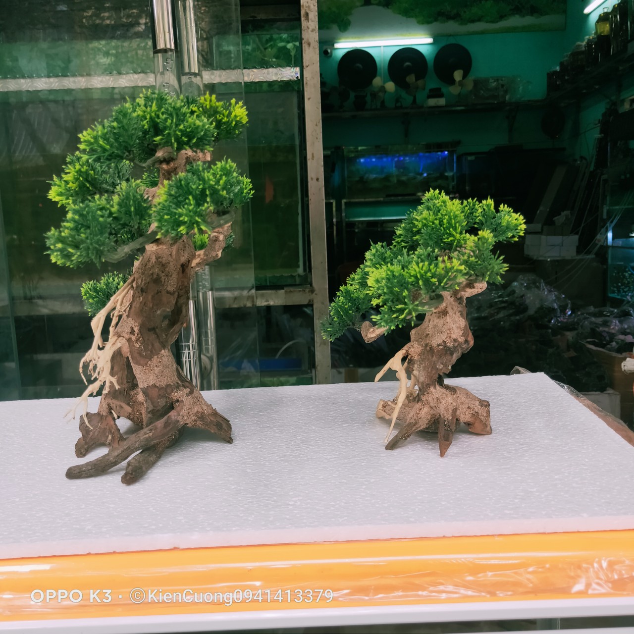 Cây gỗ lũa thủy sinh dùng cho bể cá cảnh, gỗ lúa cao cấp (Mẫu 12)