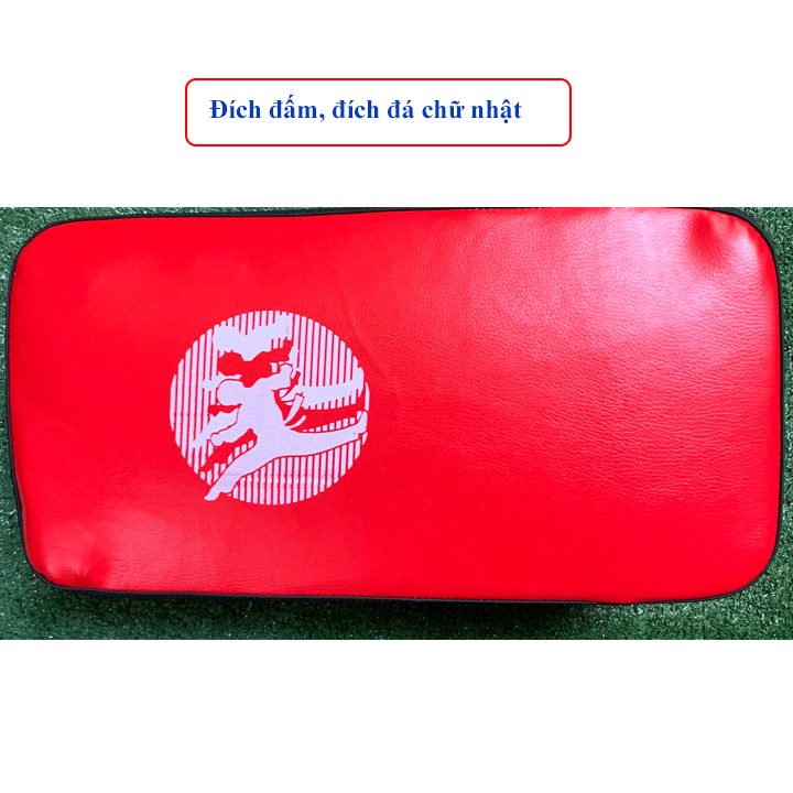 [HCM]Đích đỡ đích đấm tập võ thuật Vstar DV110 (1 cái)