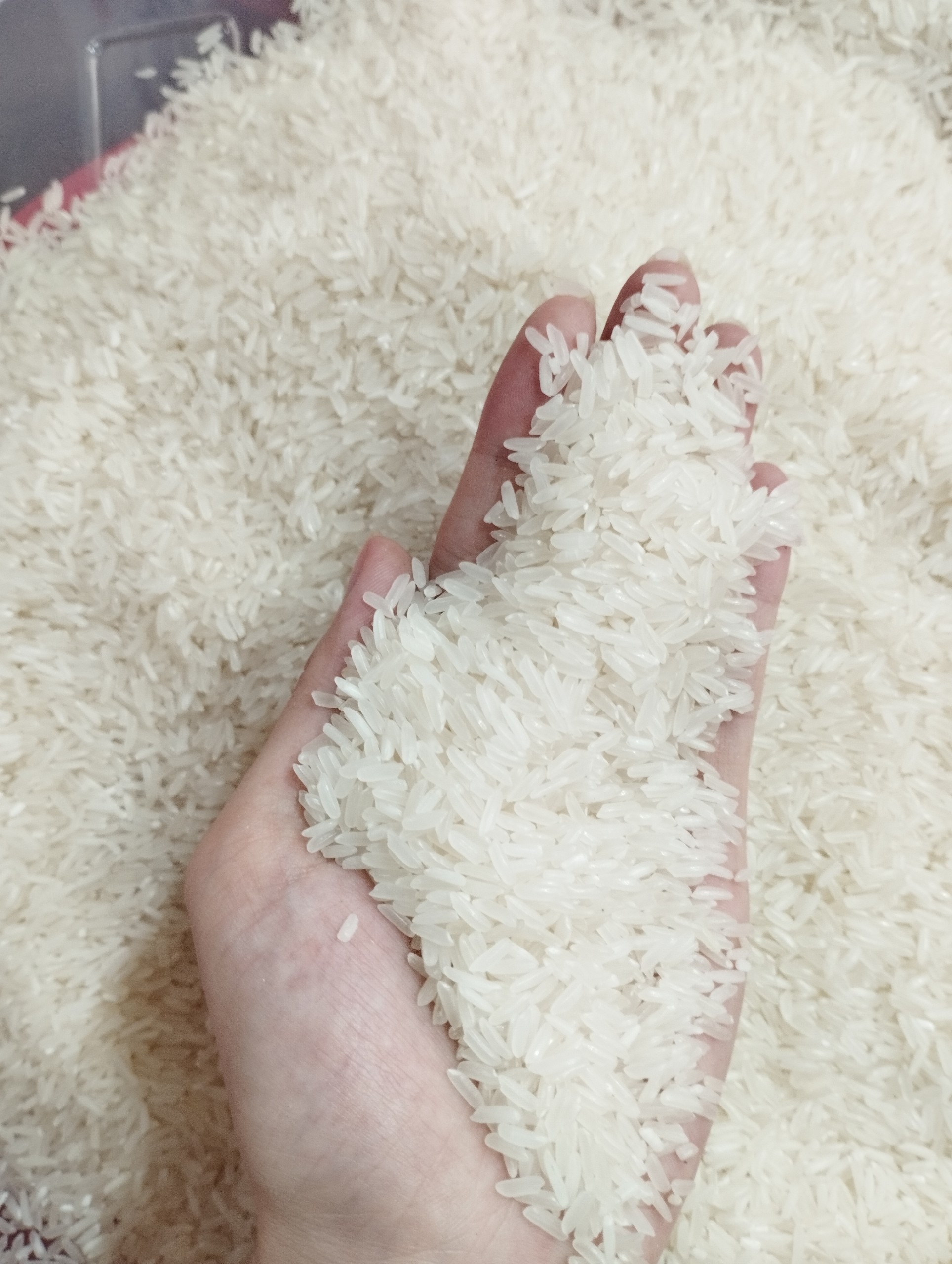 5KG Gạo Thơm Nhật - Gạo Thơm Dẻo - Gạo Mềm Ngon Cơm