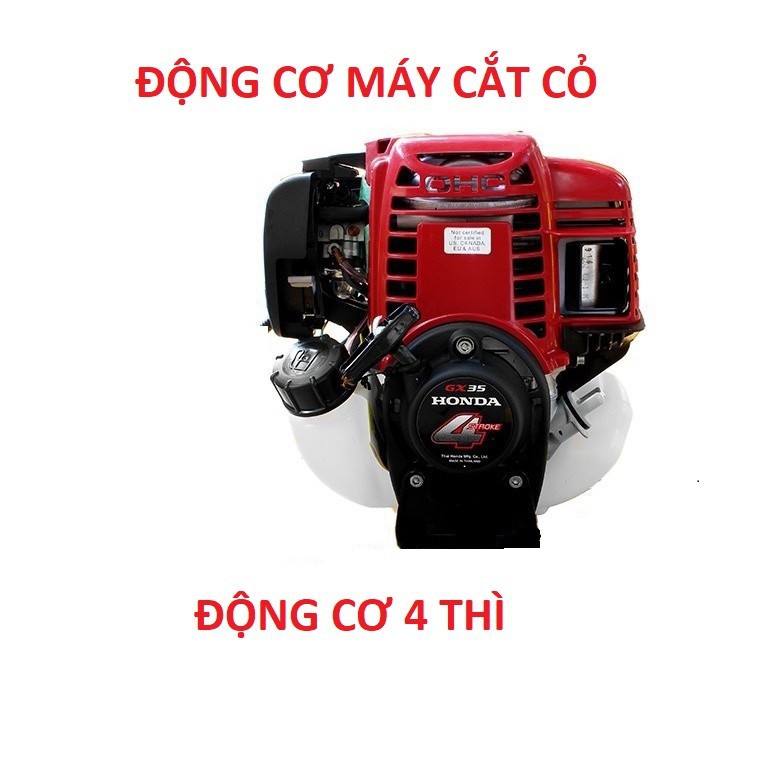 Động cơ máy cắt cỏ GX35