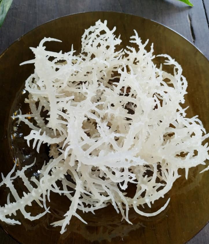 Rong Sụn Nấu Chè Ngon Giòn - 100G
