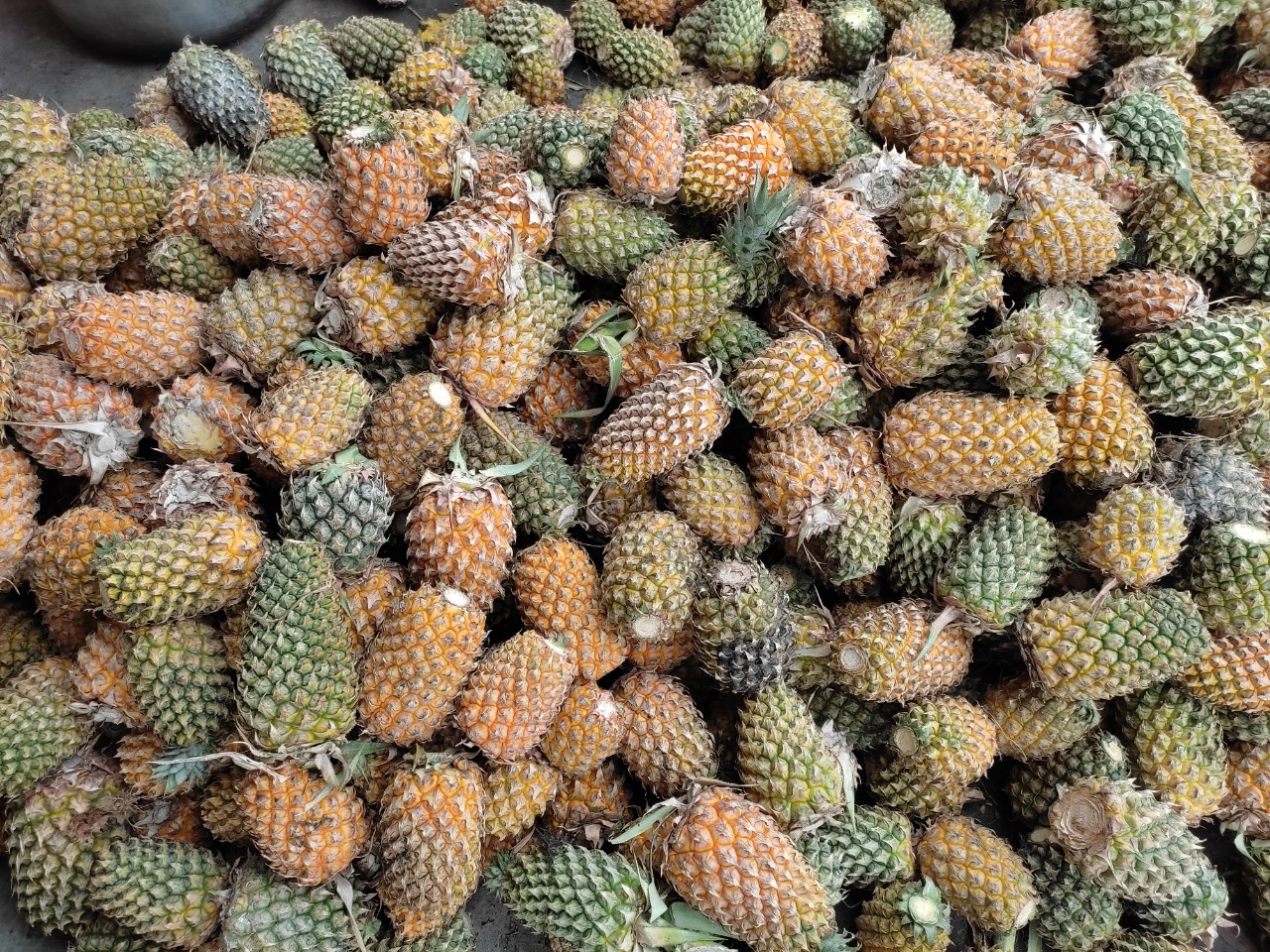 Kẹo Khóm Đậu Phộng
