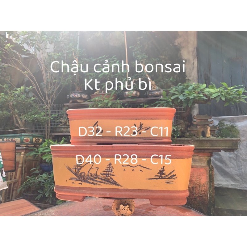 Chậu chữ nhật gốm tàu - chậu trồng cây bonsai