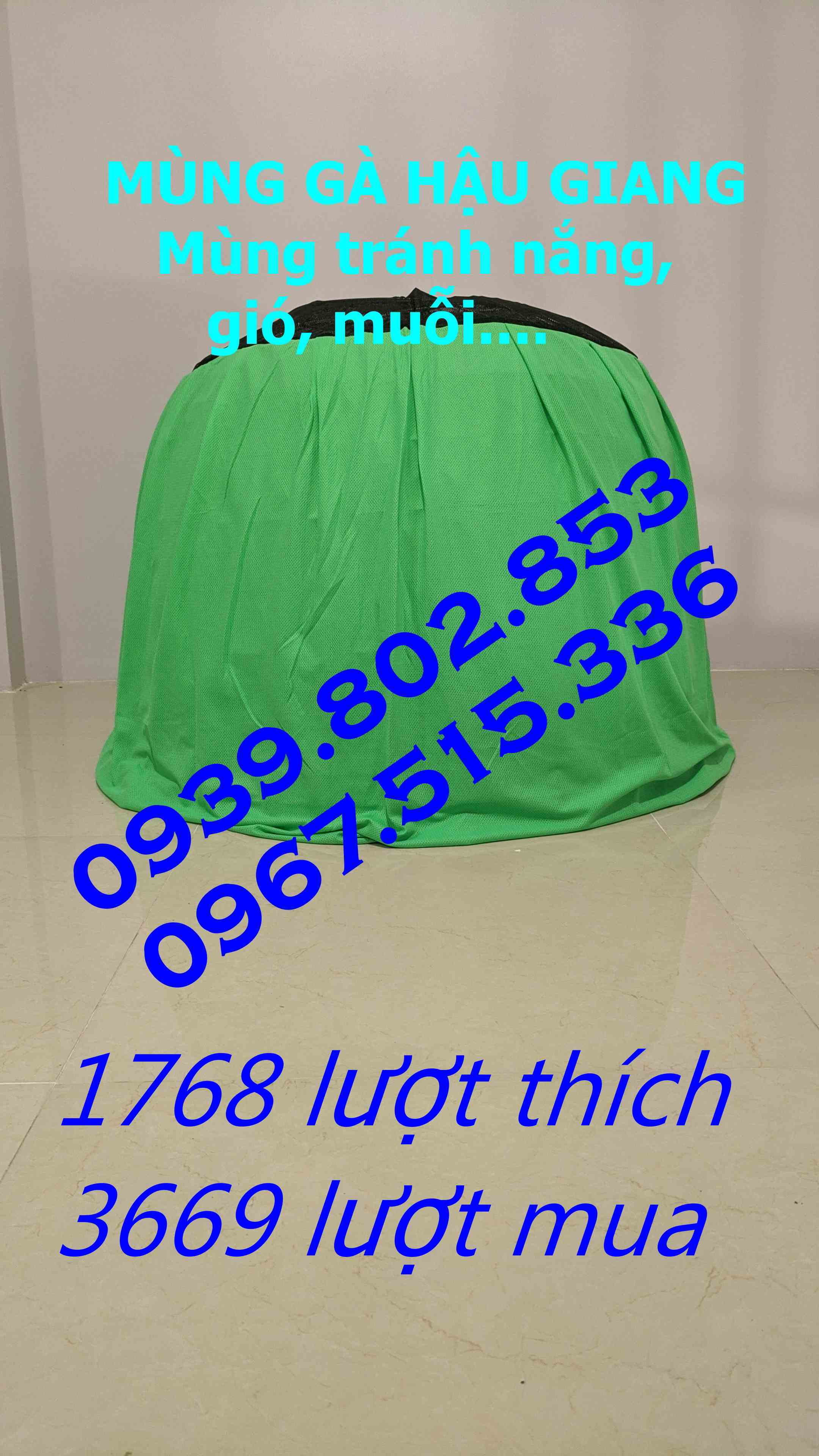 10 mùng trùm bội gà tre 90cm