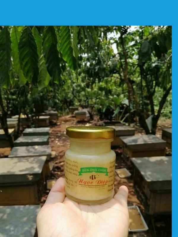 sữa ong chúa 100gr
