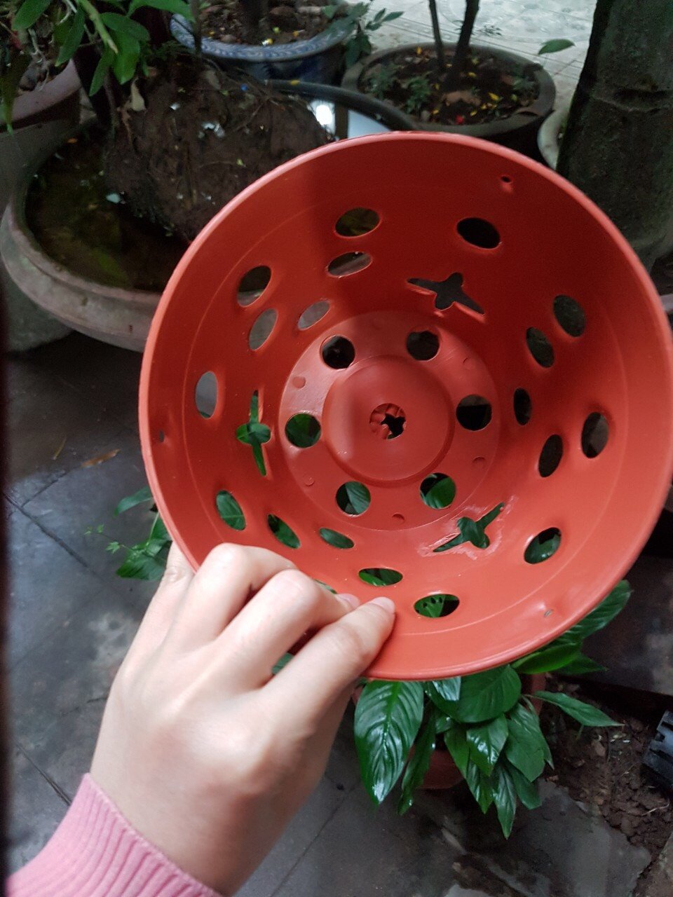 COMBO 10 CHẬU NHỰA TRỒNG LAN, CÂY CẢNH GIẢ GỐM ĐẤT PHI 25