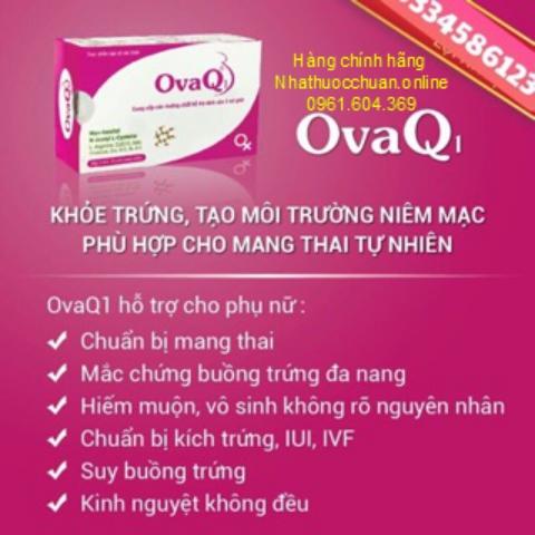 Ova Q1 (hộp 30 viên) OVAQ1