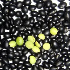 [HCM]1KG đậu đen xanh lòng -đậu đen nguyên chất tây nguyên.NGON-BỔ-RẺ dau den  trồng ở đak lak đất đỏ ba dan nên hạt to tròn nhiều chất dinh dưỡng 1kg+Quà Tặng