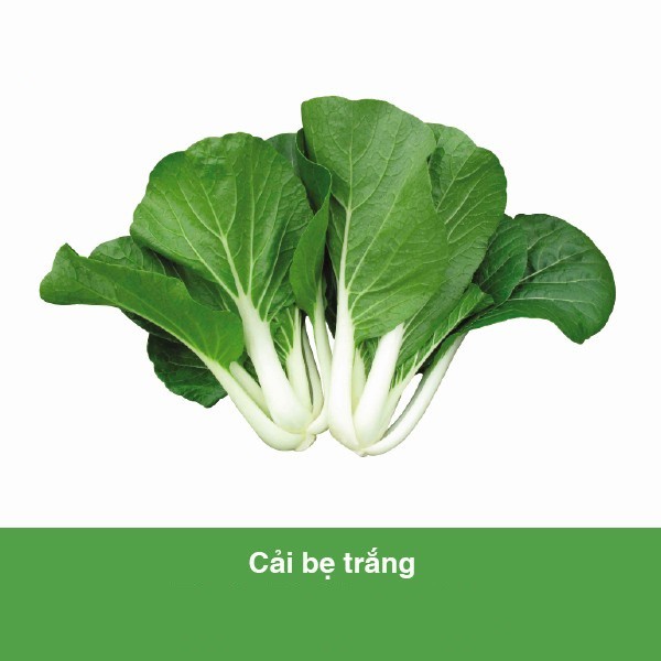 Hạt giống cải bẹ trắng - gói 20 gram