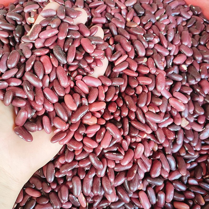 1 kg ĐẬU ĐỎ SẠCH ĐÀ LẠT HẠT TO NGON( LOẠI KHÔ)  ĐẬU ĐỎ