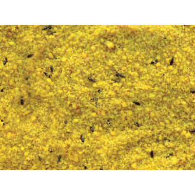 Cám Trứng Pate Gold Cho yến