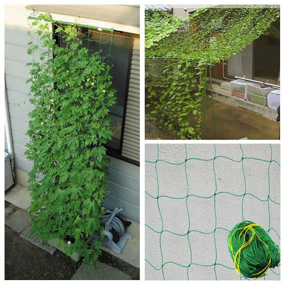 Lưới làm giàn dây leo Ollie net FL-1ON