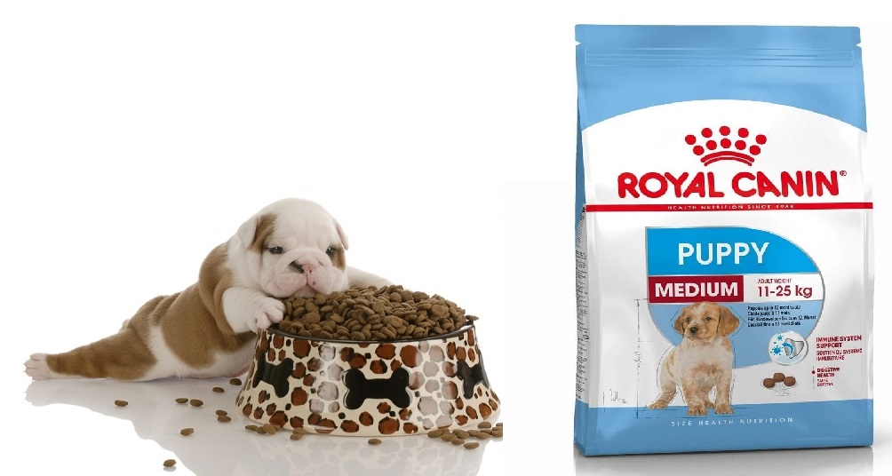 [1kg] Hạt Royal Canin Medium Puppy Cho Chó Con Size Vừa