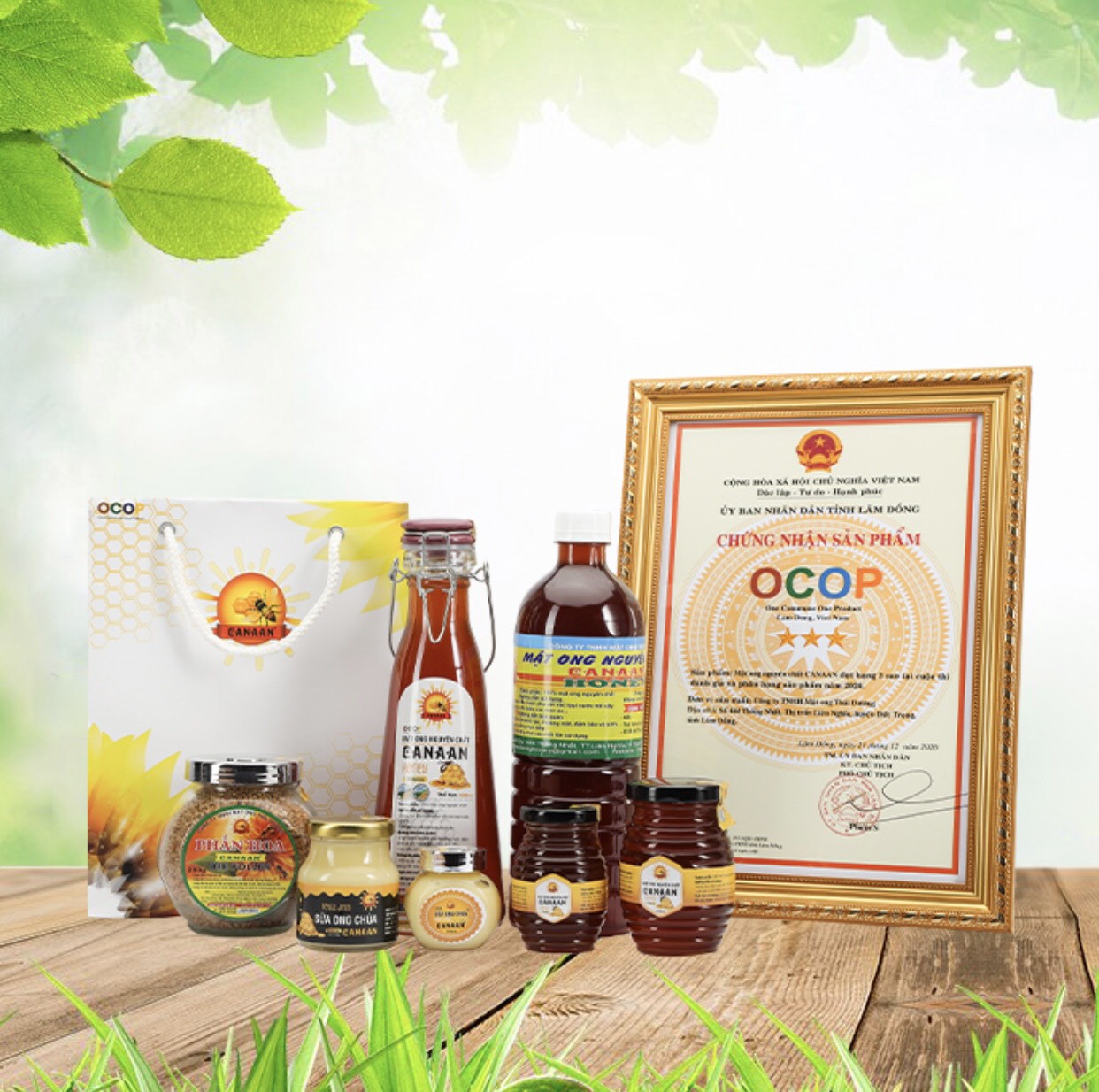 Combo bộ 4 sản phẩm mật ong Canaan full size