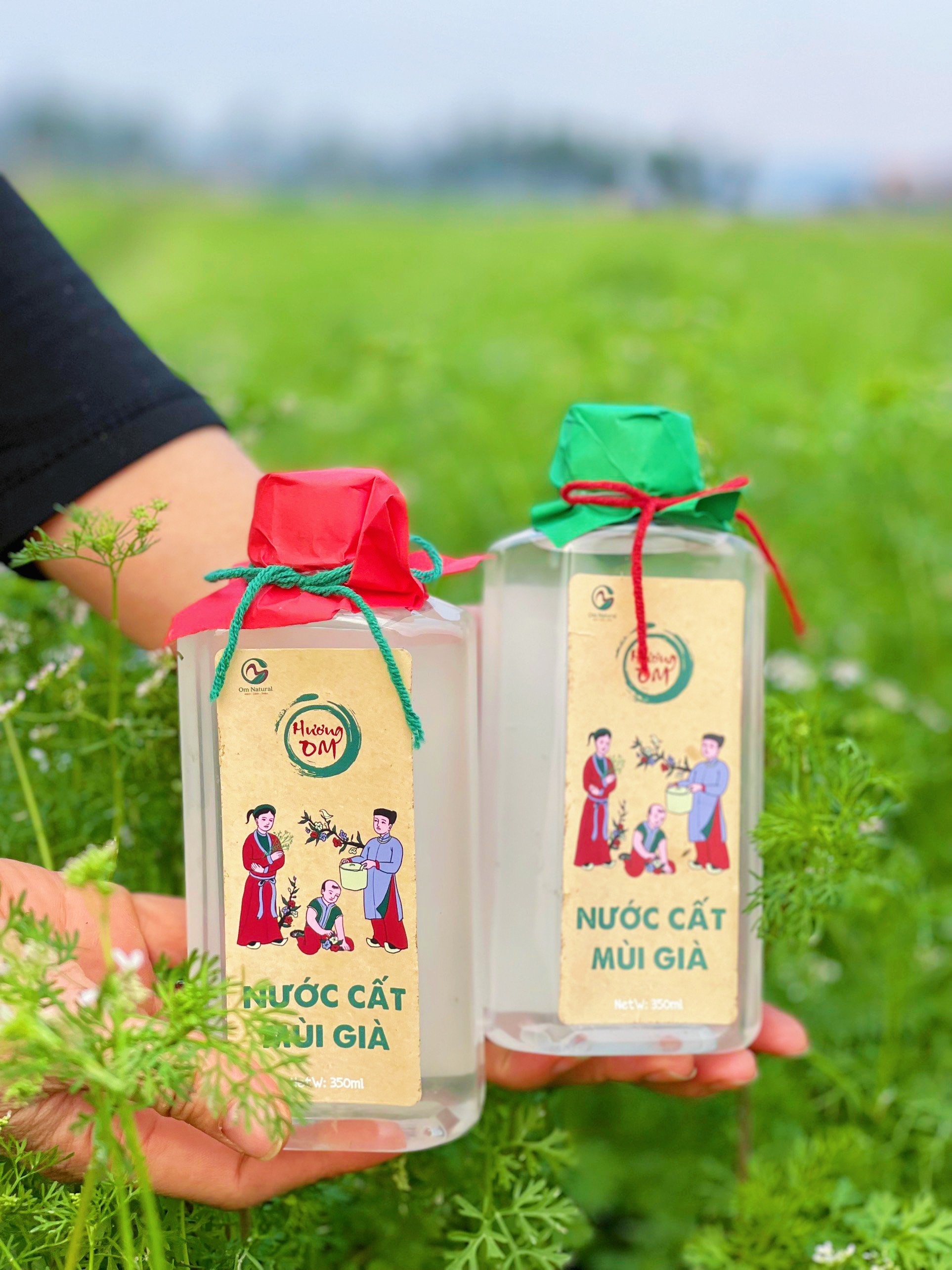 Nước cất Mùi già Hương Om 350ml