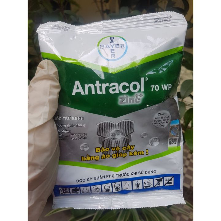 Diệt nấm bệnh cây trồng Antracol 70wp-Áo giáp kẽm ( Zn ) bảo vệ cây