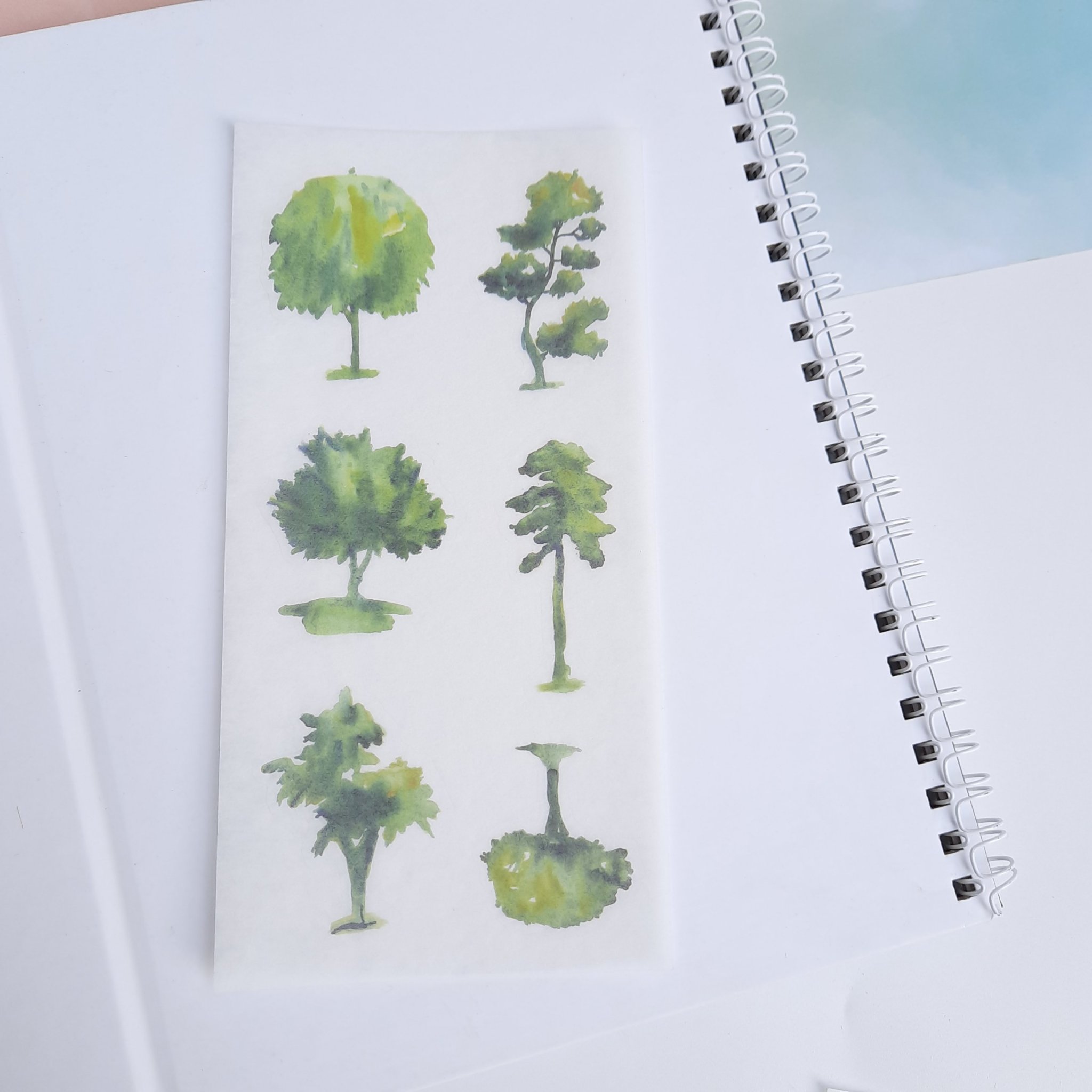 [HCM]Bộ 6 Tấm Sticker Cây Xanh
