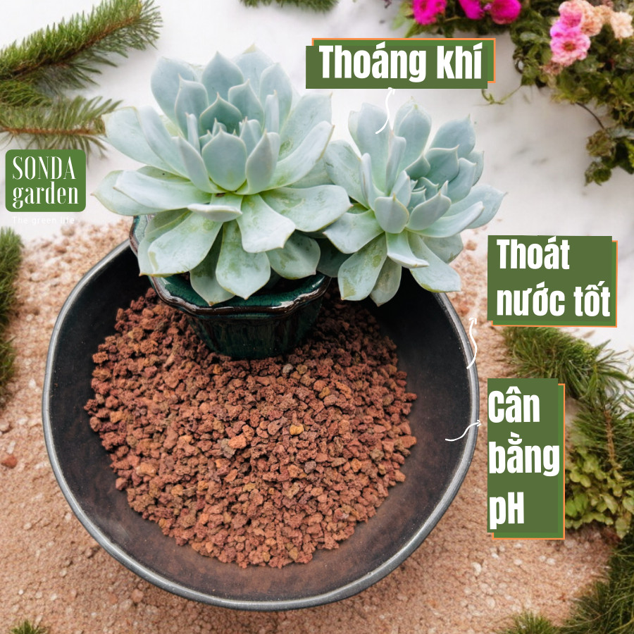 ĐÁ NHAM THẠCH ĐỎ (1kg) SIÊU PHẨM CHO SEN ĐÁ