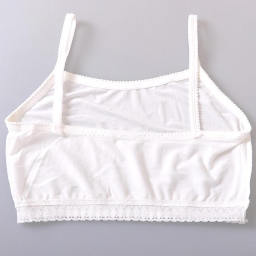 Combo 5 Áo Lá Ngắn Thun Mát Dành Cho Học Sinh 868 – Cotton Co Giãn 4 Chiều, Free Size