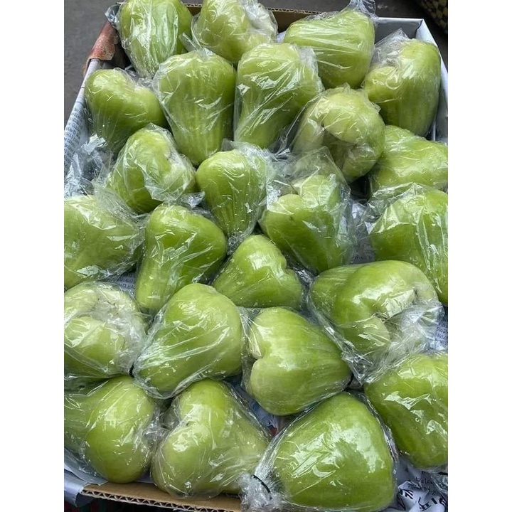 CÂY MẬN XANH TAM HOA (CÂY GHÉP SIÊU SỚM)