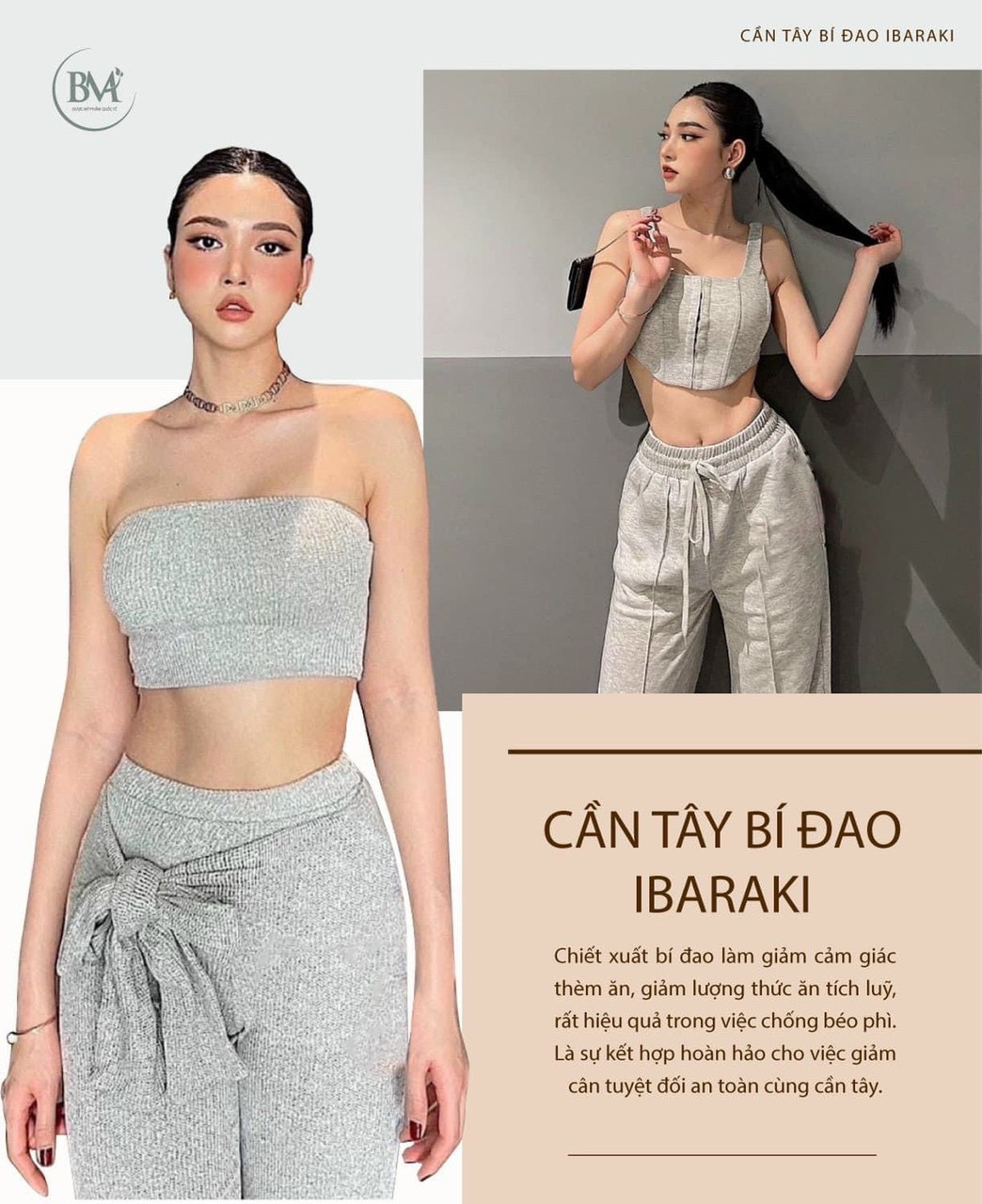 CẦN TÂY BÍ ĐAO IBARAKI