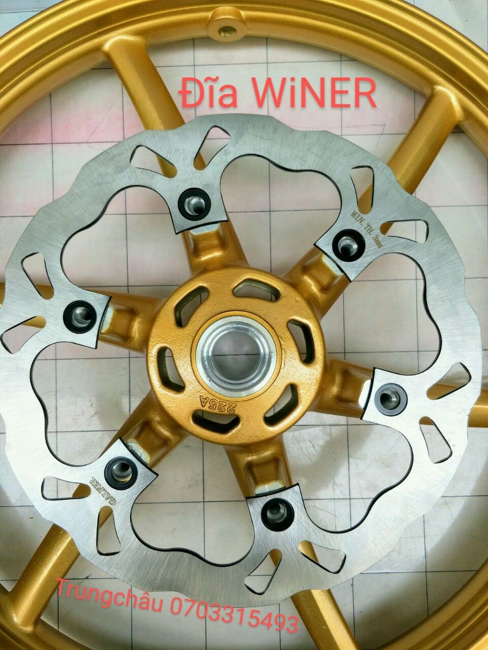 [HCM]Dĩa kiểu WINER