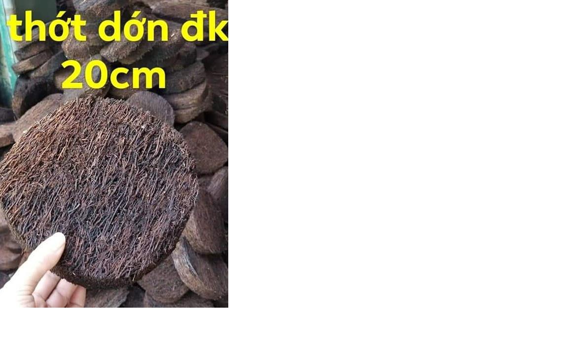 6 miếng dớn trồng lan hiệu quả đường kính 20cm