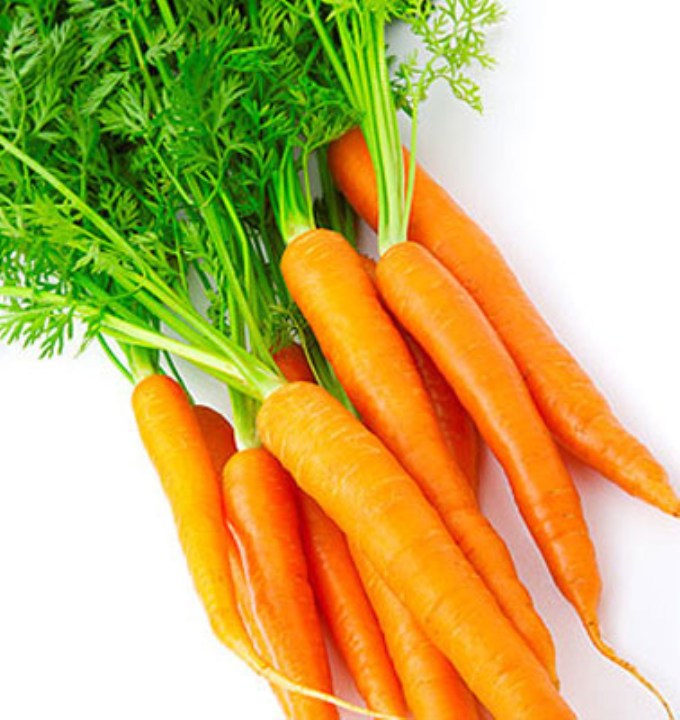 Gói 5 gram hạt giống cà rốt
