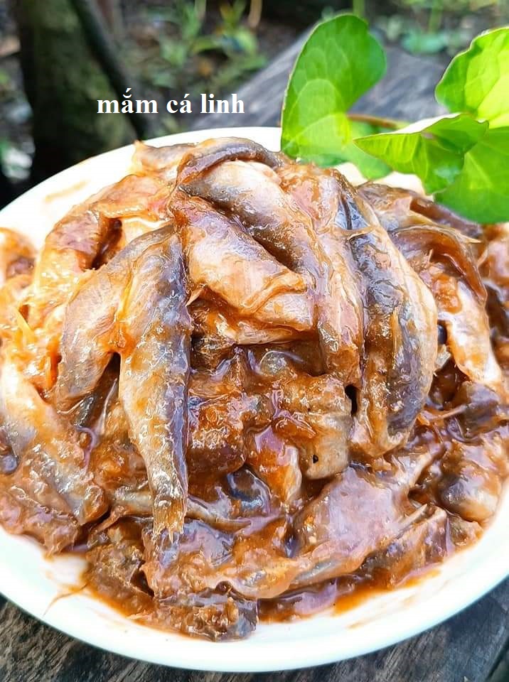 MẮM CÁ LINH ĐẶC SẢN MINH TRIẾT HỦ 500GR