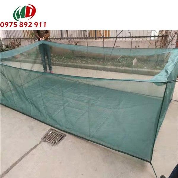 tráng lồng nuôi ếch 6m vuông nuôi được 500 con ếch
