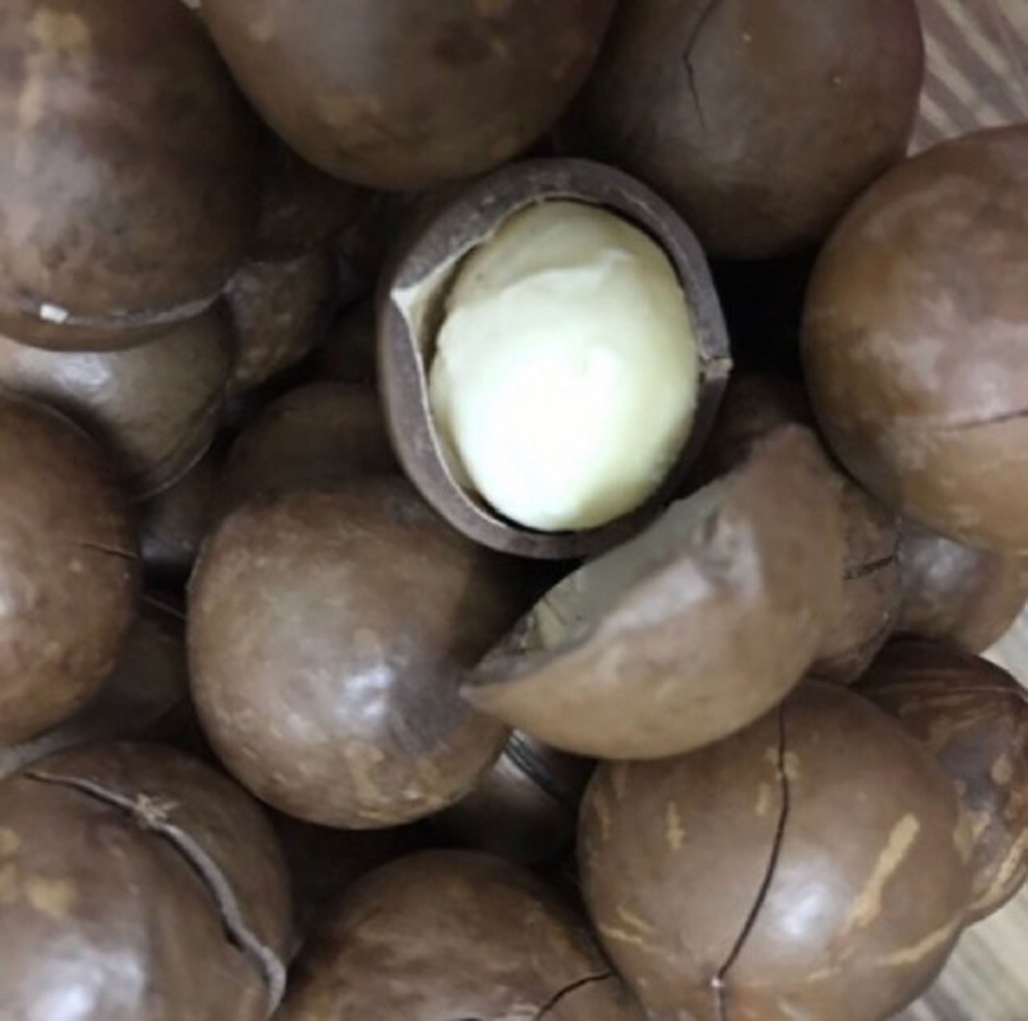 Hạt macca nứt vỏ 500g Ngon loại 1