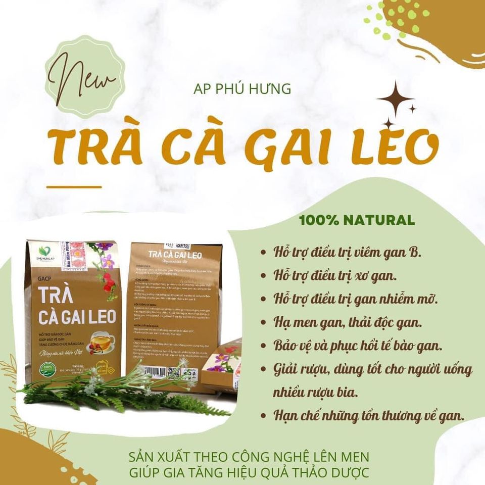 Trà cà gai leo