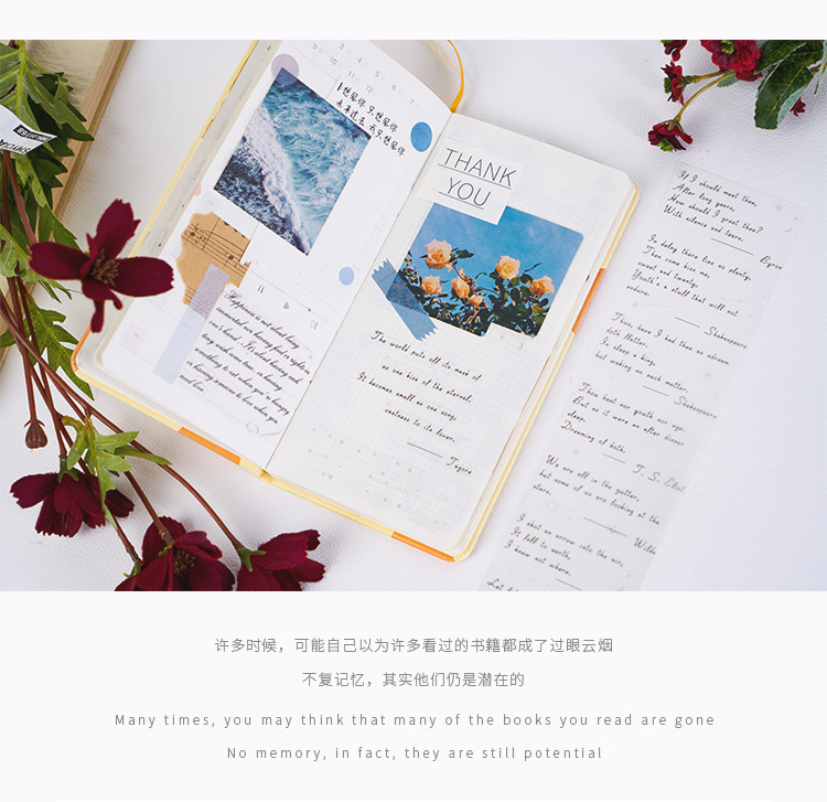 [HCM]Masking Tape Love Quote (Hàng có sẵn)