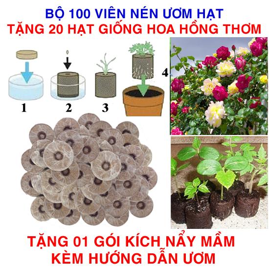 Bộ 100 viên nén ươm hạt (tặng 20 Hạt giống Hoa hồng Thơm mini + Kích thích nẩy mầm, Hướng dẫn)