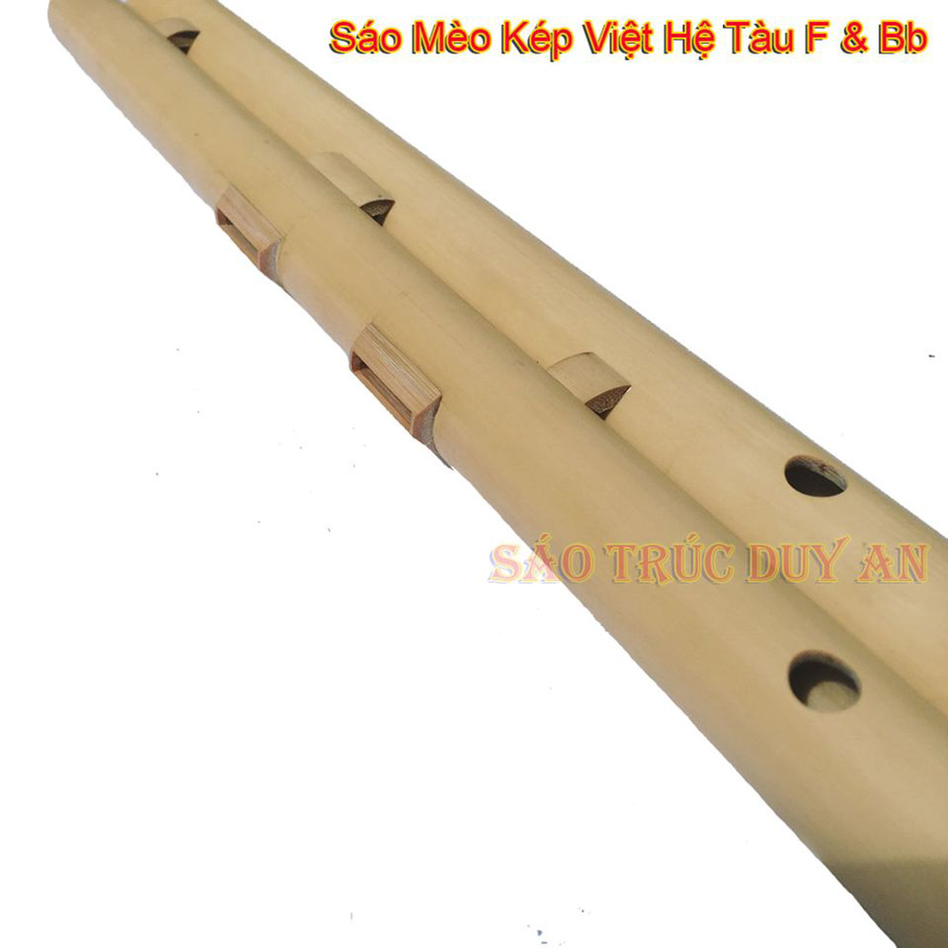 sáo mèo kép