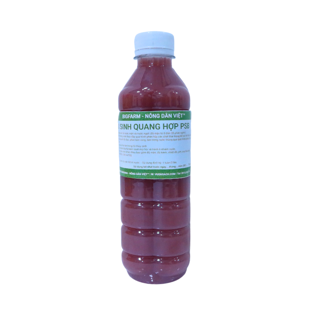 Vi sinh quang hợp PSB Bigfarm men vi sinh hồ kính giúp là trong nước