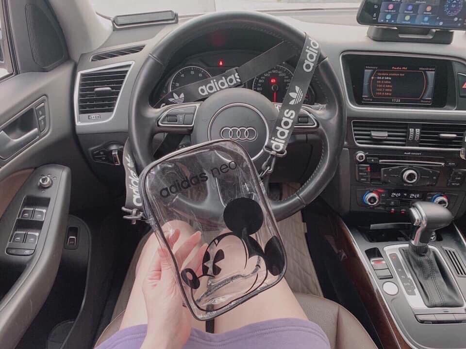 túi nữ nhựa trong đeo chéo mickey sịn sò