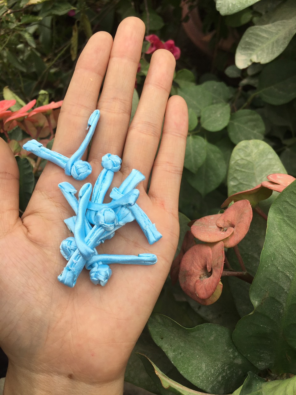 Bộ 5 nút tàu cây thanh ngang